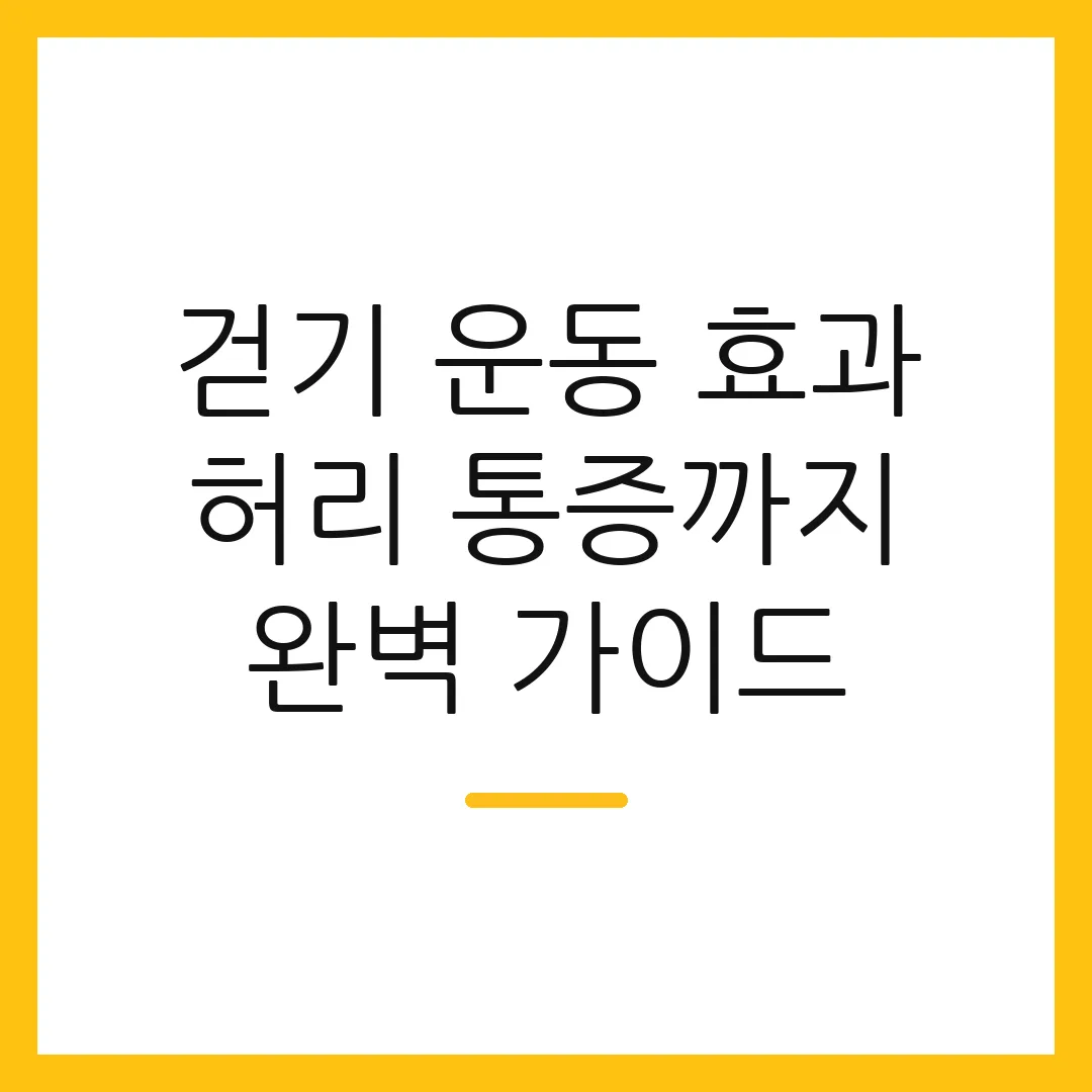 걷기 운동 효과 허리 통증까지 완벽 가이드