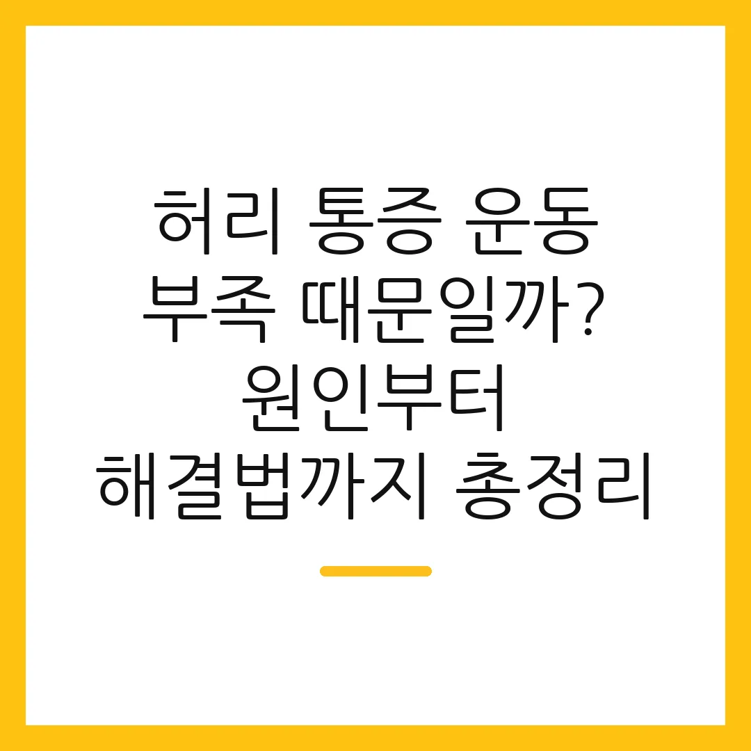 허리 통증 운동 부족 때문일까? 원인부터 해결법까지 총정리