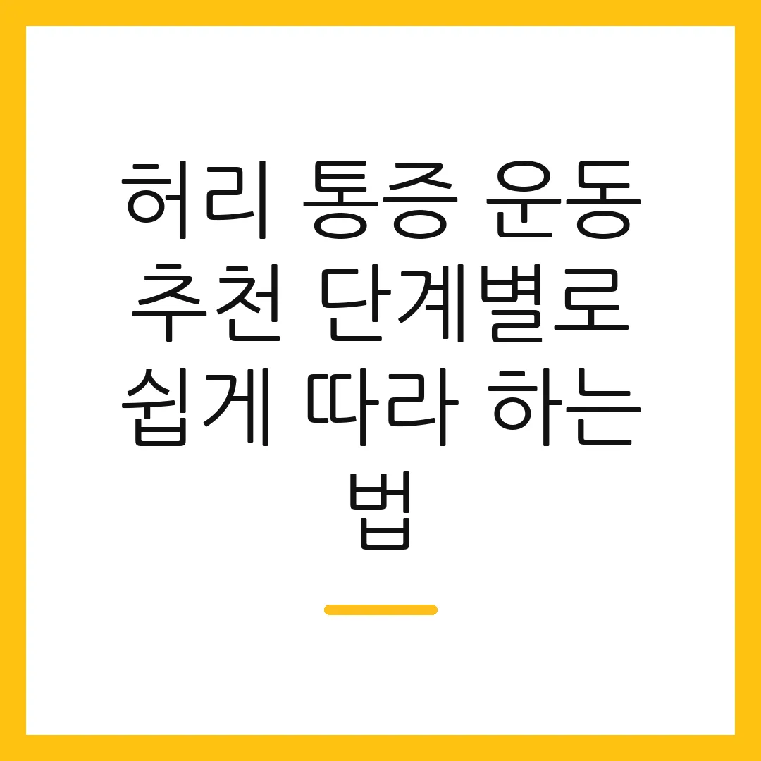 허리 통증 운동 추천 단계별로 쉽게 따라 하는 법